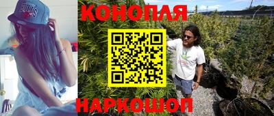 ПСИЛОЦИБИНОВЫЕ ГРИБЫ Гусев
