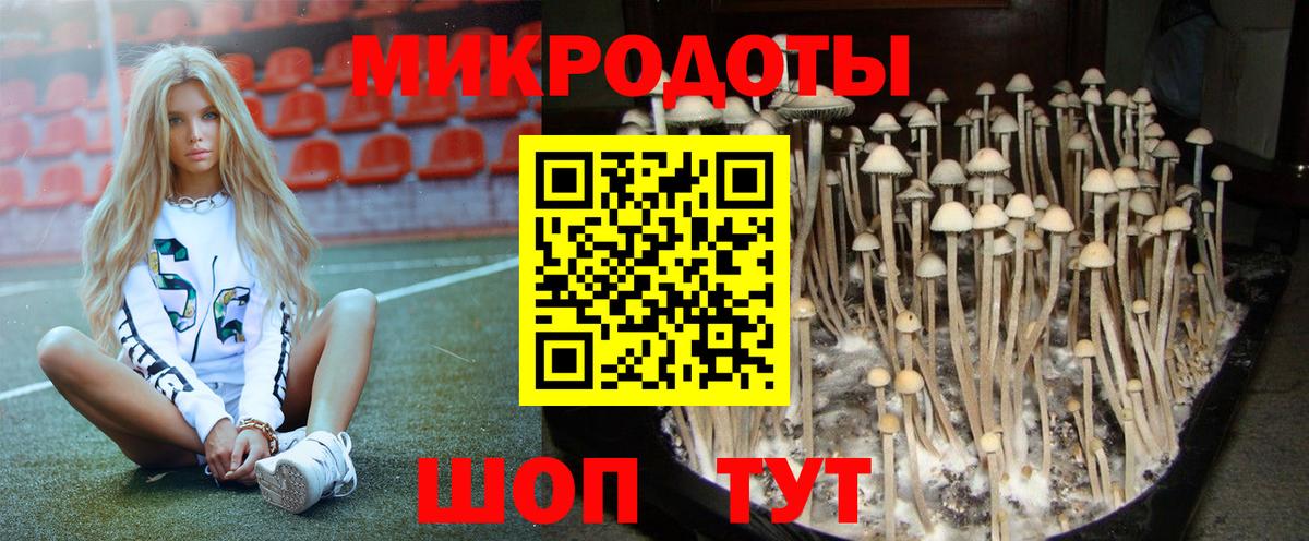 Галлюциногенные грибы прущие грибы Керчь